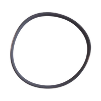 BOSCH ECOLOGIXX HEAT PUMP DRYER BLOWER DRIVE BELT alternate image
