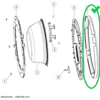Fisher & Paykel Front Loader Front Chrome Silver Outer Door Cover - H0020204106A alternate image