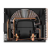 Indoor Herm CDU - Danfoss Black Star | Danf Cond.Unit M/Hbp Sc18Mlx | PN: 114X2757 alternate image