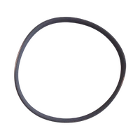 BOSCH DRYER MOTOR FAN BLOWER DRIVE BELT WTV74100AU/10 WTV74100AU/11 alternate image