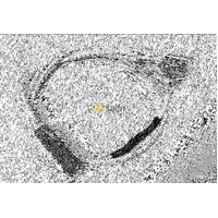 ELECTROLUX OVEN COOKTOP INDICATOR LIGHT LENS + LEAD 94000174965 4U612W alternate image