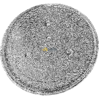 GENUINE FISHER AND PAYKEL MICROWAVE GLASS TURNTABLE PLATE TRAY 81938-A OM25BLSX1 alternate image