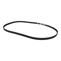 Hisense Washing Machine Belt | PN: K2025055 alternate image