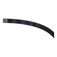 Hisense Washing Machine Belt | PN: K2025055 alternate image