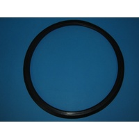246970 FRONT DOOR GASKET