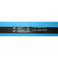 562036 BELT POLY-V 7PH 1930 HUTCHINSON