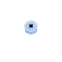 Fisher and Paykel Tension Wheel H0180800243A | DH9060C1 DH9060P1 DH8060C1 DH8060P1 HDC80E1
