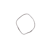 Fisher and Paykel Wall Oven Gasket 542554
