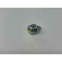 Genuine Tapping Screw M5X12 (ROHS) for Daikin Part No 119839J(C2)