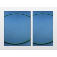 2 x Genuine Simpson Eziset 350 355 450 455 500 550 555 Clothes Dryer Fan Belt