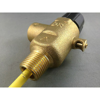 HOT WATER TANK NEFA Pressure and Temperature relief valve PTR1000 1000KPA