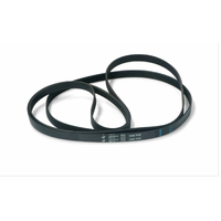 Fisher & Paykel Haier Whirlpool Tumble Dryer Drum Belt AWD60A, SDRY60 HDY-D60,