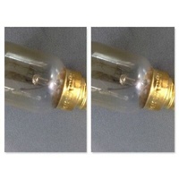 2 x Smeg Oven Lamp Light Bulb Globe SA380X/1 SA380X/2 SA380X/3 SA380X-5