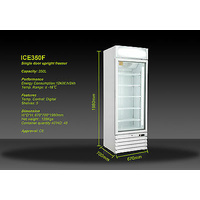 ICE350F 350LT 1 DOOR COMMERCIAL DELI DISPLAY FREEZER 670(w)*700(d)*1980(h)MM