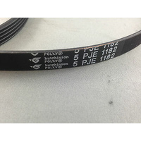 LG MOTOR DRIVE BELT MAS42413101 WD-1018C WD-1023C, WD-1049C WD-8026C WD-8015C