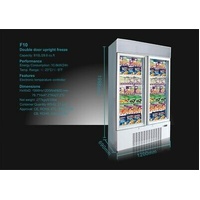 IGLOO DOUBLE DOOR COMMERCIAL FROZEN FOOD DISPLAY FREEZER T 1220x700x1980mmWDH