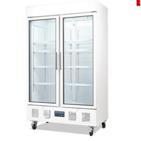 Commercial Drink Coca Cola Polar Double Door Display Fridge 944Ltr