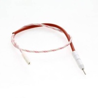 Ariston Indesit Oven Ignitor Fgi K Ix C00307857
