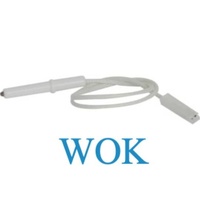 Bosch Neff Simense Gagganaeu Oven Or Cooktop Ignitor for Wok Burner L= 320 Mm Dcc Pfa