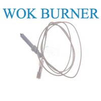 Bosch Oven and Cooktop Ignition Lead for Wok Burner PCL785FAU /0300601150