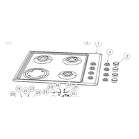 Fisher Paykel Cooktop Top Plate Ss CG604CNGX2, CG604CLPX2