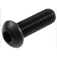 Fisher Paykel Fridge Door Handle Designer Series Screws Dome Head M4 pack of 2