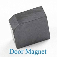 Samsung Washing Machine Top Loader Lid Or Door Magnet