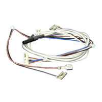 Simpson Washing Machine Lid Switch and Harness Assy 36P450L, Eziset 450, Eziset 550, Eziset 605, Eziset 750, Eziset, 800, Eziset