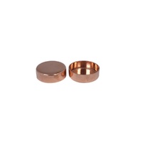 1/4" COPPER END CAPS