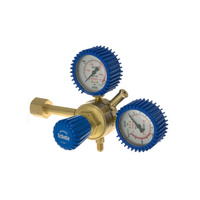 Nitrogen Regulator 1 Stage Side Entry Model:RI1SNI60 0-6000 KPA