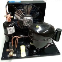 NJ9226GK Compact Outdoor Condensing Unit 2410W