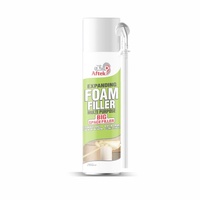 Sealant: Expanding Foam Filler Multi-purpose