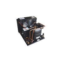UE5G R134A L/M/H TEMP ECQ/HAITON CONDENSING UNITS-HERMETIC