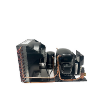 Indoor Herm CDU - Danfoss Black Star | Danfoss Cond.Unit SC21CLXT2 | PN: 114H5734