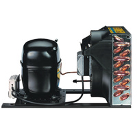 Indoor Herm CDU - Danfoss Black Star | SC12GXN0 Condensing unit | PN: 114X0340