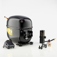 Comp Herm - Secop | Secop SC10CL Compressor LBP 220-240V | PN: 195B3003