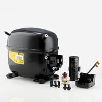 Comp Herm - Secop | Secop SC10DL Compressor M/HBP 220-240V | PN: 195B3078