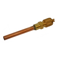 Service Access Valves | CPS Access Valve | PN: 316A