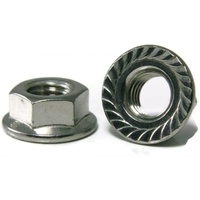 Fasteners | Wiz Nut 10Mm (Flange Hex Nut) | PN: 3FNZM10
