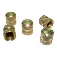 Service Access Valves | CPS Brass Cap | PN: AVC410