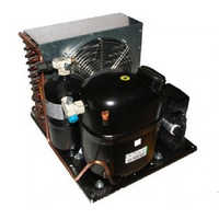 Indoor Herm CDU - Embraco | Embraco Condensing Unit - UNT2212GK