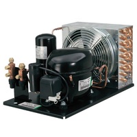 Indoor Herm CDU - Embraco | Embraco Condensing Unit - UNT6220GK