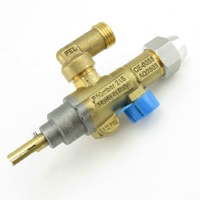 227403 - GAS VALVE 21S c/w ELBOW | Blue Seal