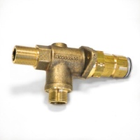 10060154 - WATER TAP NO CONNECTOR | Rancilio