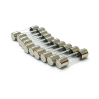 Amp 5x20mm Fuse - T100 (10 Each)