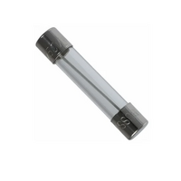 - 1 Amp 6x30mm Cylinder Fuse