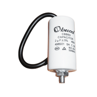 Capacitor 2UF With Leads