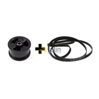 Genuine Simpson Dryer Pulley Idler + Drive Belt 0197300040+0198300011