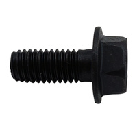 SCREW HEATING UNIT M8 x 1.25 x 19