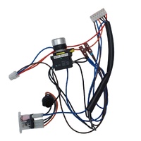 Wiring Harness HD Gas Cntrl To Thst